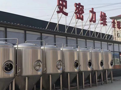 恩平精酿啤酒设备厂—如何判断精酿啤酒设备的密封件需要更换？